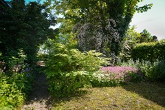 Foto 43.jpg